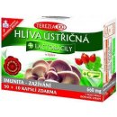 Terezia Company Hlíva ústřičná + laktobacily + vitamin C 60 kapslí