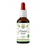 Salvia Paradise Medvědí česnek lyofilizovaný AF tinktura 50 ml – Hledejceny.cz
