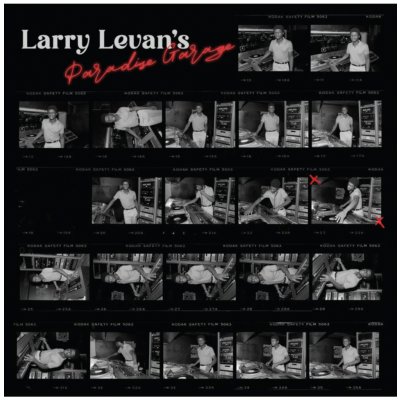 Various Artists - Larry Levan's Paradise Garage - RSD 2023 EX LP – Zboží Mobilmania