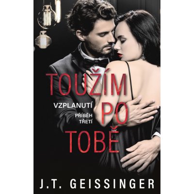 Toužím po tobě - J. T. Geissinger