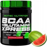 Scitec Nutrition BCAA + Glutamine Xpress 300 g – Zbozi.Blesk.cz