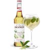 Šťáva Monin Elderflower 0,7 l