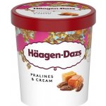 Häagen-Dazs Vanilková zmrzlina smetanová s karamelovou polevou a pekanovými ořechy 460ml – Zbozi.Blesk.cz