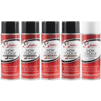 Shapley's Touch Up Spray White 284 g – Zboží Mobilmania