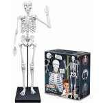 BUKI Obří lidská kostra 85cm – Zboží Dáma