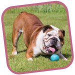 Beco Ball L – Zboží Mobilmania