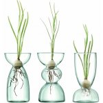 LSA International Sada váz Canopy, výška 13 cm, čirá - – Zboží Dáma