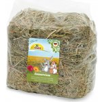 JR Farm seno Letní louka 0,5 kg – Hledejceny.cz