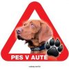 Autovýbava Grel nálepka na sklo pozor pes v autě maďarský ohař