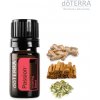 Vonný olej doTERRA Passion 5 ml