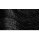 Herbatint barva na vlasy 1N černá – Zboží Dáma