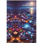 CONCORDE Záznamní kniha A5 linka 8mm 150 listů – Zboží Dáma