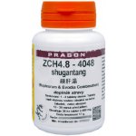 Pragon ZCH4.8 shugantang 36 tablet – Hledejceny.cz