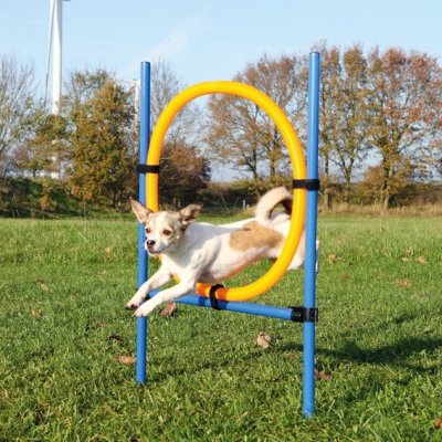 Trixie Agility kroužek překážka na přeskakování 115 cm xx 3 cm x 65 cm