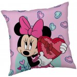 Jerry Fabrics polštář Minnie purple 40x40 – Hledejceny.cz
