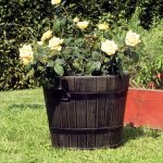 Roto POLKA L 50 cm – Zboží Dáma