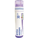 ARNICA MONTANA POR 30CH GRA 4G – Zboží Dáma ARNICA MONTANA POR 30CH GRA 4G – Zboží Dáma