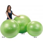 Gymnic Physio Plus 95 cm – Zboží Dáma