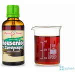Bylinné kapky HOUSENICE ČERVENÁ Cordyceps tinktura 50 ml – Hledejceny.cz