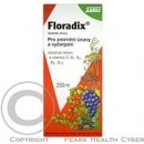 Salus Floradix sirup proti únavě 250 ml