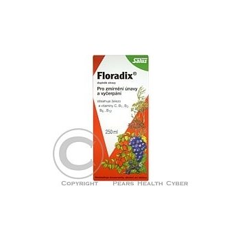 Salus Floradix sirup proti únavě 250 ml