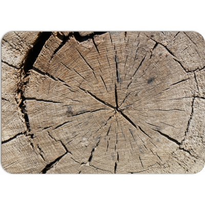 PokojovaDekorace.cz Prostírání 094 Imitace dřeva 43x30cm – Zboží Dáma