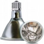 Arcadia Deep Heat Projector 50 W – Zboží Dáma