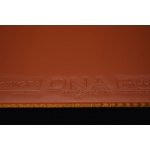 Stiga DNA Dragon Grip – Zboží Mobilmania