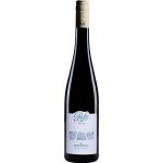 Weingut Polz Riesling Federspiel "Ried Kreuzberg" 2024 12,5% 0,75 l (holá láhev) – Hledejceny.cz