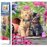Norimpex Diamantový obrázek malování Koťata v zahradě 30 x 40 cm – Hledejceny.cz