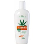 Cannaderm Capillus šampon proti lupům 150 ml – Zboží Mobilmania