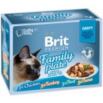 Brit Premium Cat Delicate Fillets in Gravy Family Plate 12 x 85 g – Sleviste.cz