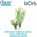Biorb zimní rostlina 2 ks, 30 cm 46067 – Sleviste.cz