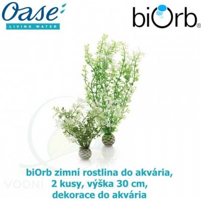 Biorb zimní rostlina 2 ks, 30 cm 46067 – Sleviste.cz