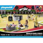 Adventní kalendář Kouzelná Beruška a Černý kocour PLAYMOBIL 71344 – Hledejceny.cz