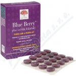 New Nordic Blue Berry 60 tablet – Hledejceny.cz