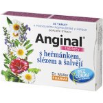 Dr. Müller Anginal s heřmánkem,slézem a šalvějí 16 tablet – Hledejceny.cz