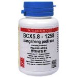 Sinecura BCX5.8 1258 xiangsheng podi san 60 tablet – Hledejceny.cz