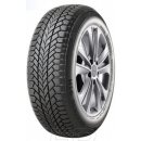 Giti Winter W1 215/55 R17 98V