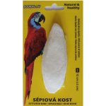 Juko sépiová kost 12 cm – Hledejceny.cz