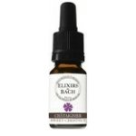 Bachovy květové bio esence Les fleurs de Bach Kaštanovník jedlý Sweet Chestnut 10 ml – Hledejceny.cz