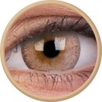 MaxVue Vision ColorVue Fizzy Lushy Brown měsíční nedioptrické 2 čočky – Hledejceny.cz