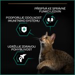 Pro Plan Adult Renal Plus kuře 10 kg – Zboží Dáma