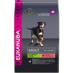 Eukanuba Adult Small & Medium Salmon 2,5 kg – Hledejceny.cz