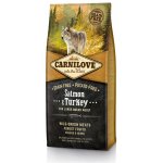 Carnilove Salmon & Turkey for Large Breed Adult Dogs 2 x 12 kg – Hledejceny.cz