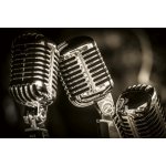 Dimex MS-5-2129 Vliesová fototapeta Retro mikrofony rozměry 375 x 250 cm – Sleviste.cz