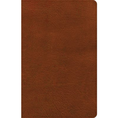 NASB Large Print Personal Size Reference Bible, Burnt Sienna Leathertouch Holman Bible PublishersImitation Leather – Hledejceny.cz