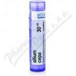 ALLIUM CEPA POR 30CH GRA 1X4G – Hledejceny.cz