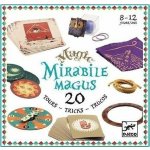 Djeco Kouzelnická sada 20 triků – Hledejceny.cz