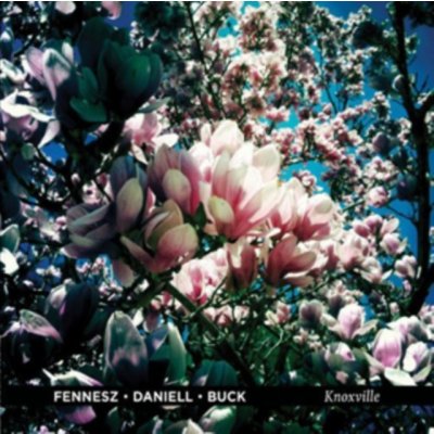 Fennesz/Daniell/Buck - Knoxville LP – Zbozi.Blesk.cz